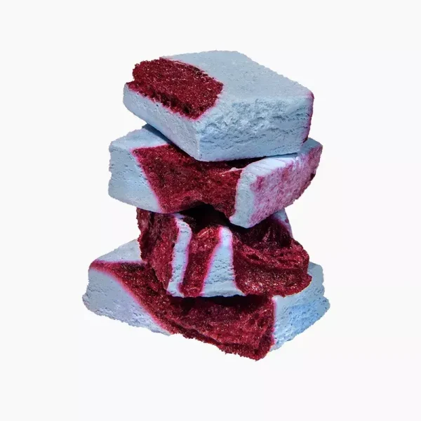 Organic Blueberry Blackberry Freeze-Dried Ice Cream