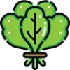 icon-6-1.webp