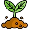 icon-6-3.webp